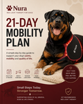 21-Day Mobility Plan E-Book