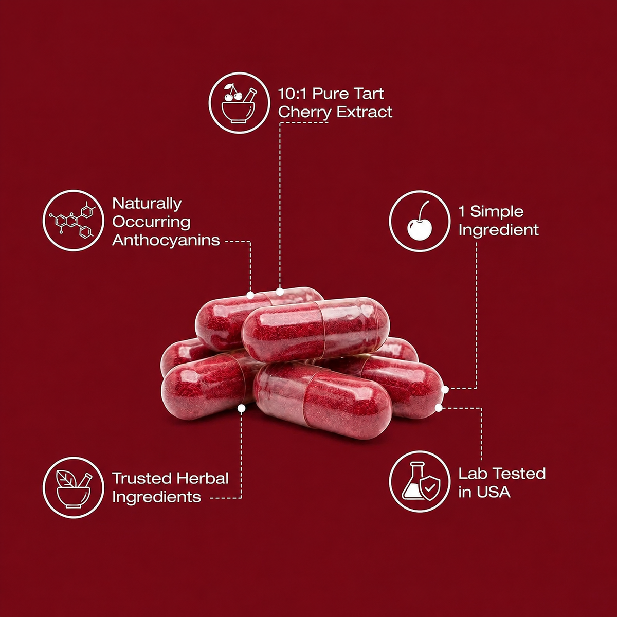 Fermented Tart Cherry Extract Capsules